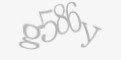 Защитный код