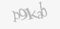 Защитный код